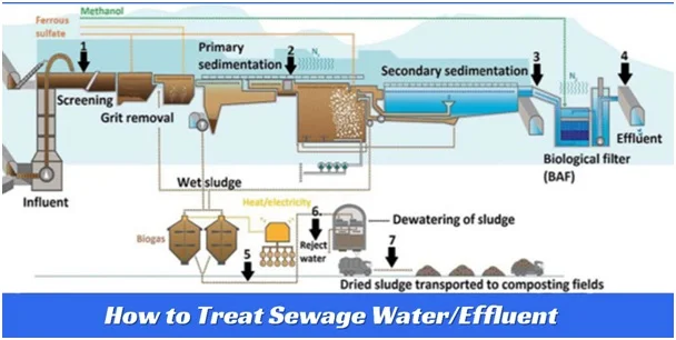 How to Treat Sewage Water Effluent