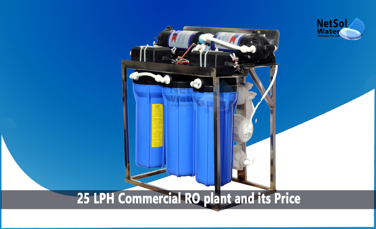 25 LPH Commercial RO plant and its Price, Working Principle of 25 LPH Commercial RO Plant, Process Flow Diagram of 25 LPH Commercial RO Plant