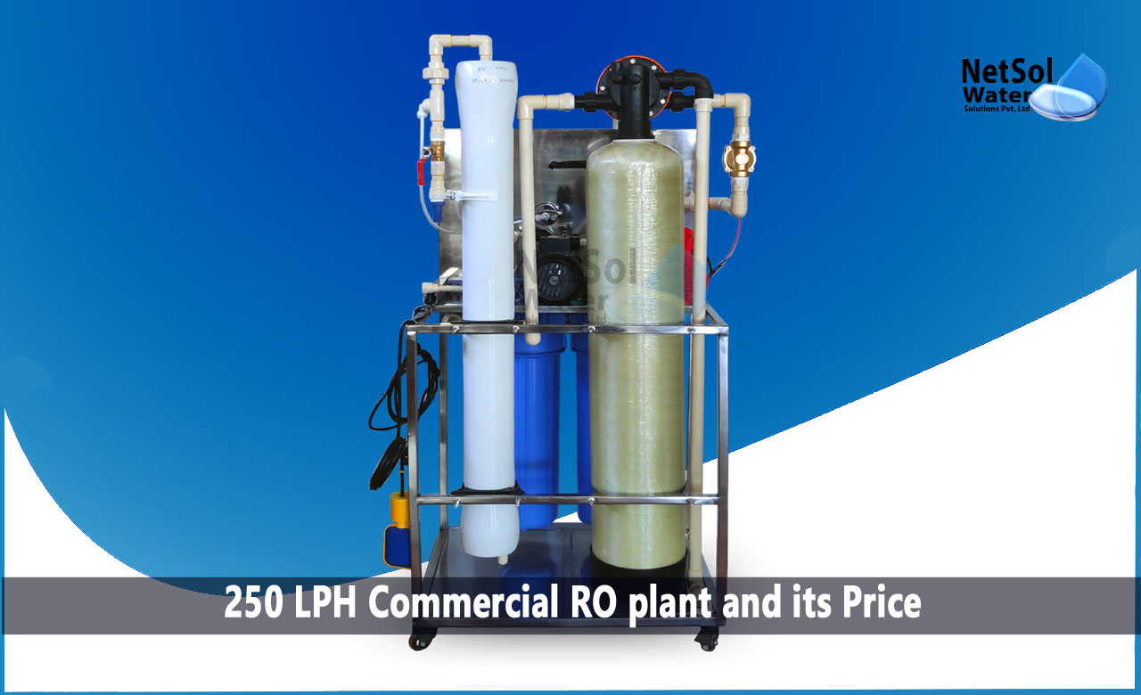 250 LPH Commercial RO plant and its Price, Working Principle of Commercial RO Plant, Process Flow Diagram of Commercial RO Plant