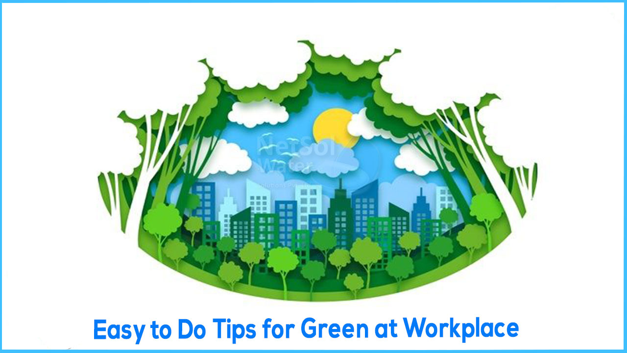 8 Easy to Do Tips for Green at Workplace - office Environment