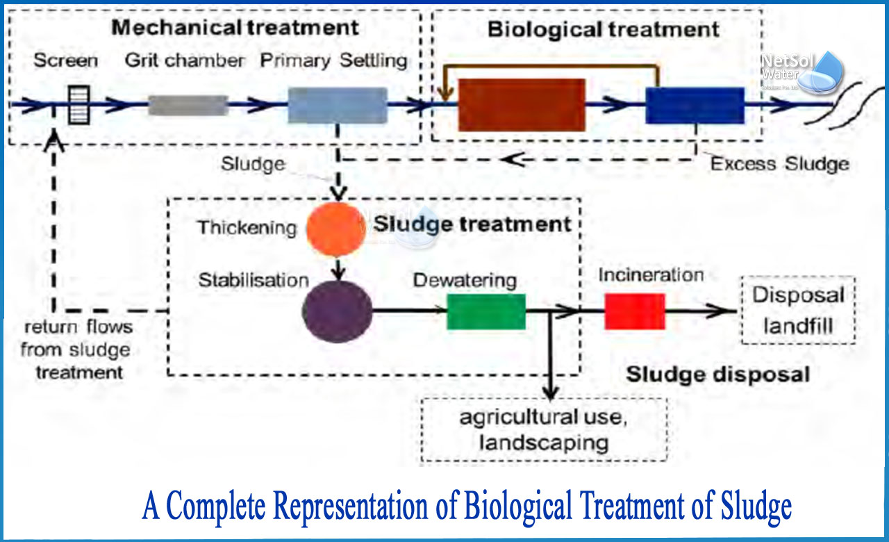 biological treatment of wastewater, types of biological treatment of wastewater, biological treatment of solid waste