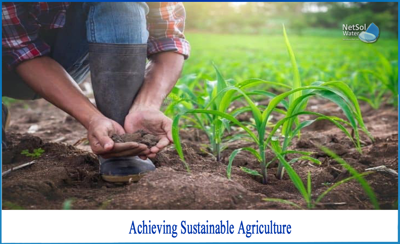 importance of sustainable agriculture, sustainable agriculture problems and its impact on agriculture, sustainable agriculture practices in india
