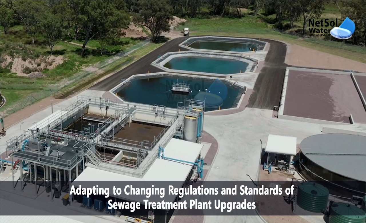 Adapting to Changing Regulations and Standards of STP Plant Upgrades