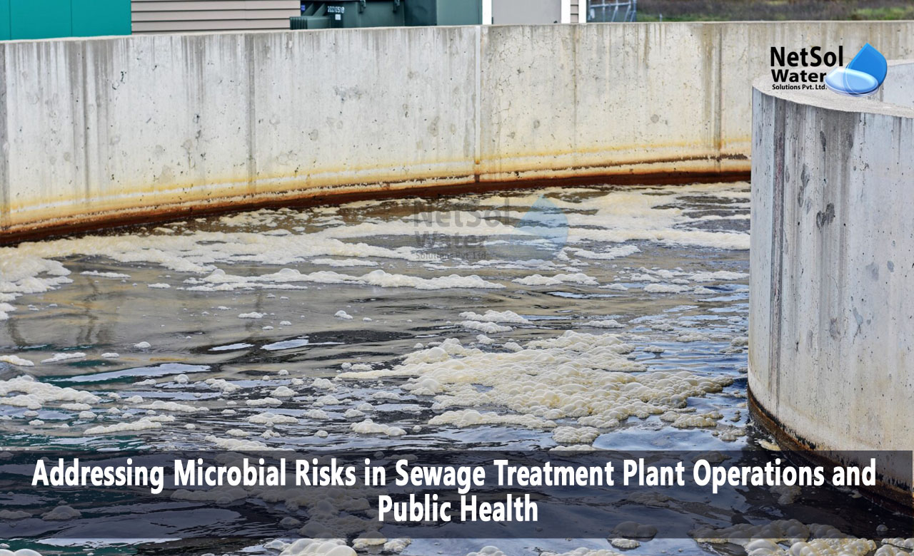 What are the Microbial Risks in STP Plant Operations and Public Health