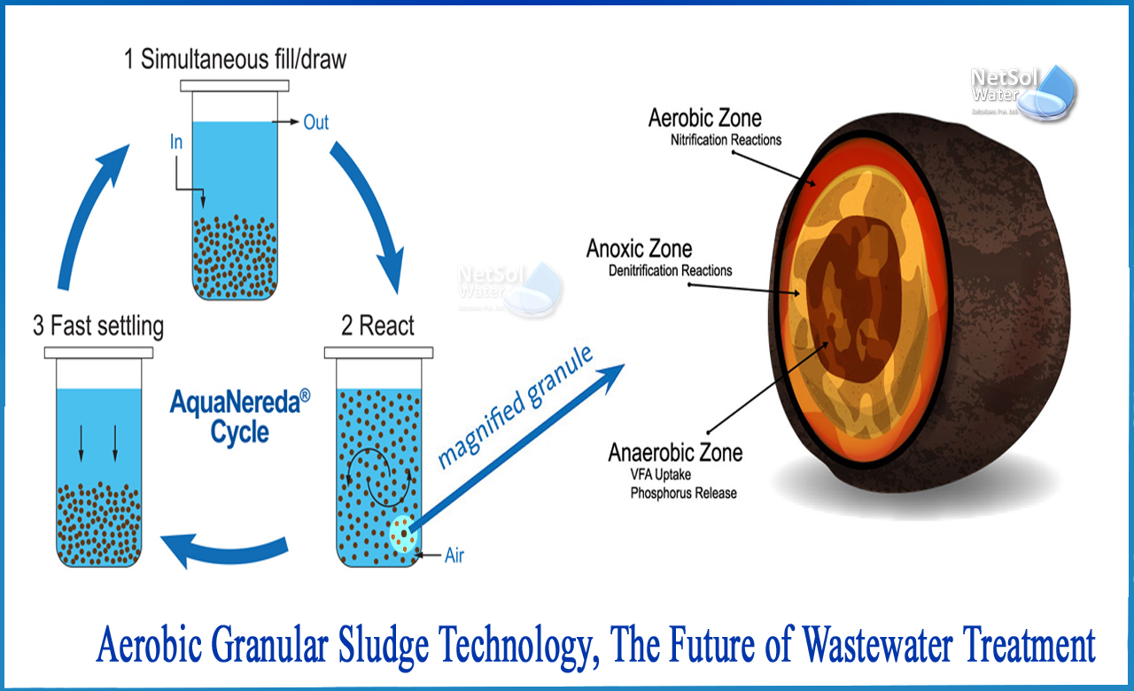 anaerobic granular sludge, granular sludge vs activated sludge, different stp technologies