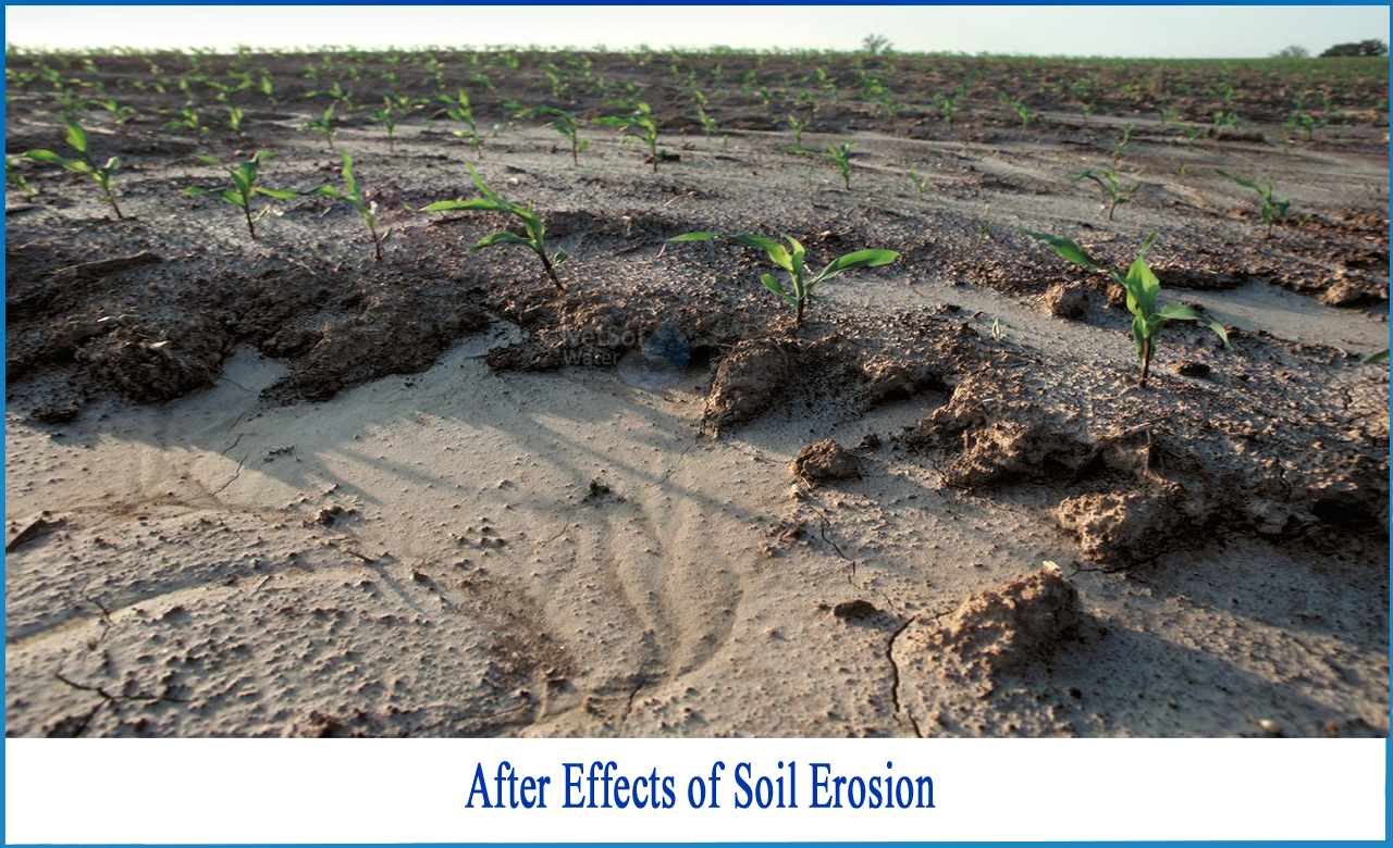 soil erosion effects on the environment, soil erosion effects, soil erosion cause and effect