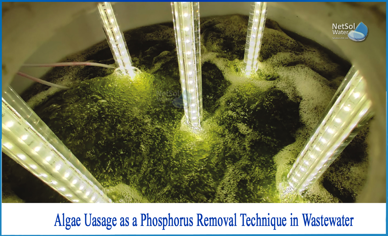 phosphorus and nitrogen removal from municipal wastewater, phosphorus removal from wastewater, nitrogen and phosphorus removal from wastewater