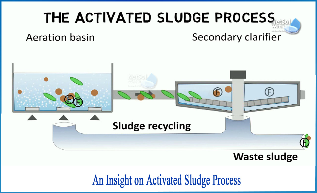 activated sludge process steps, secondary treatment of sewage, what is sewage treatment