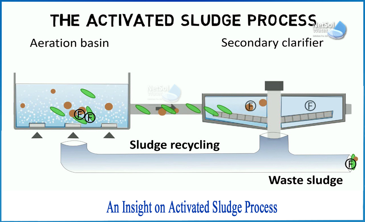What Is Activated Sludge Process Explain In Details