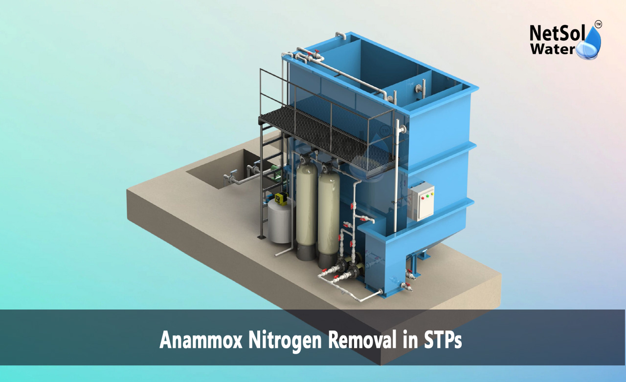 How to remove ammoniacal nitrogen, How is nitrogen removed in sewage treatment plant, Which method is used to remove ammonia gas in sewage treatment