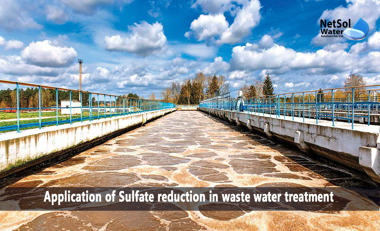 Application of Sulfate reduction in waste water treatment, Sulfate reduction in waste water treatment