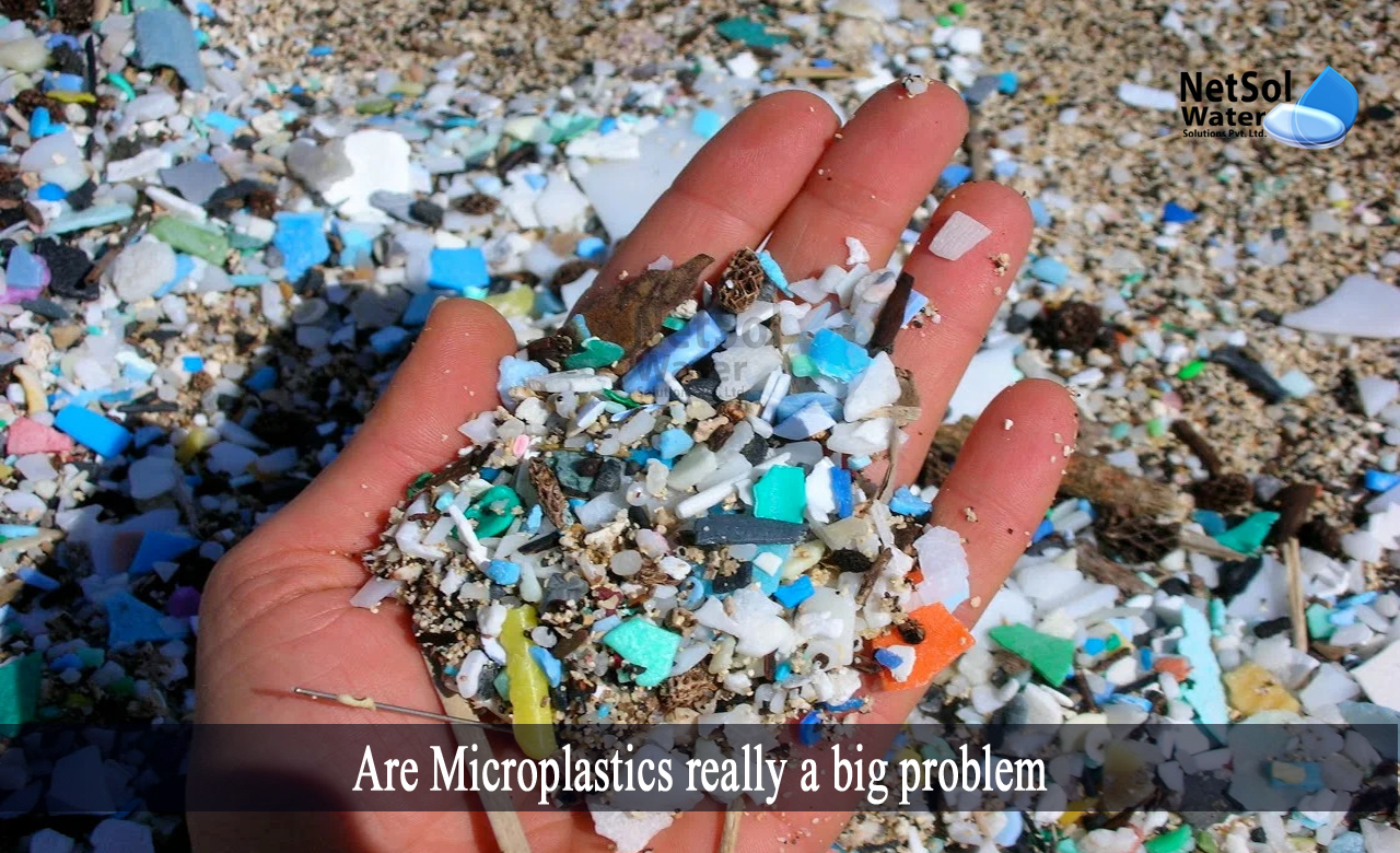 why are microplastics a problem, how to avoid microplastics, microplastics pollution