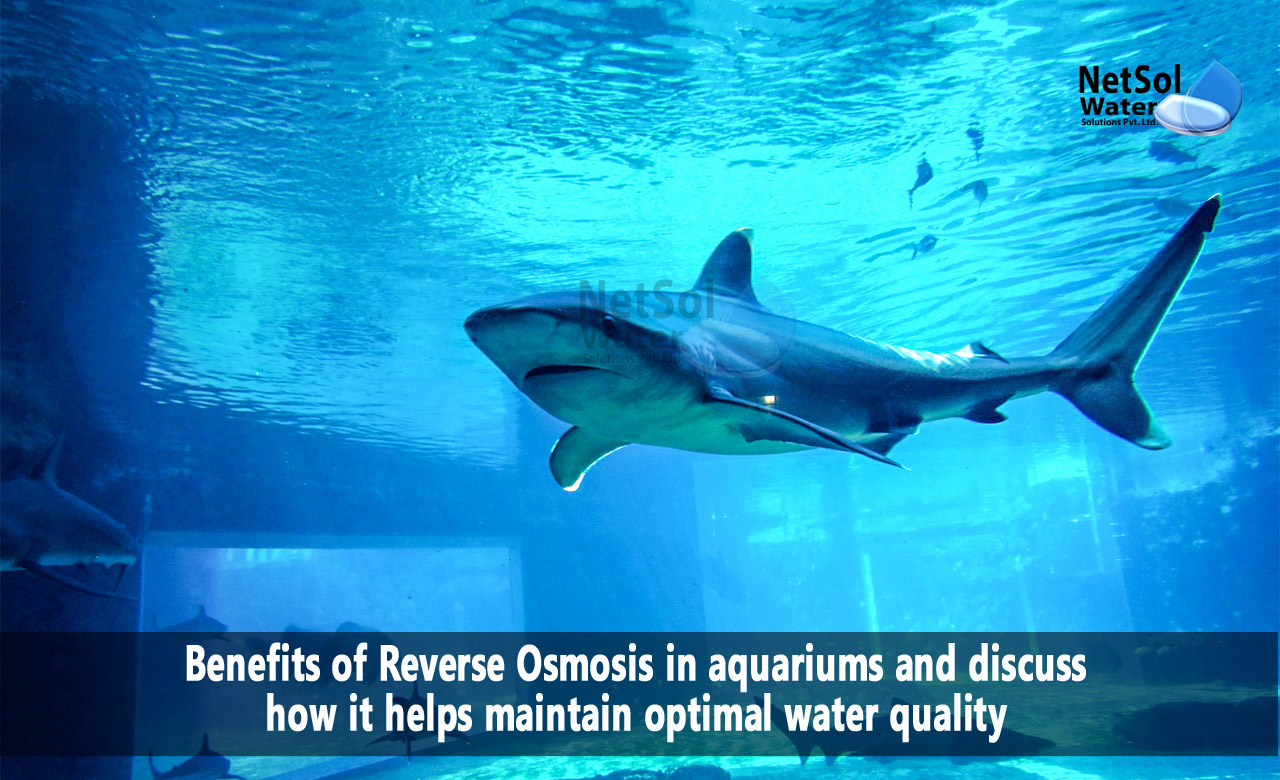 Advantages associated with RO in aquariums, How Reverse Osmosis maintains optimal water quality in aquariums