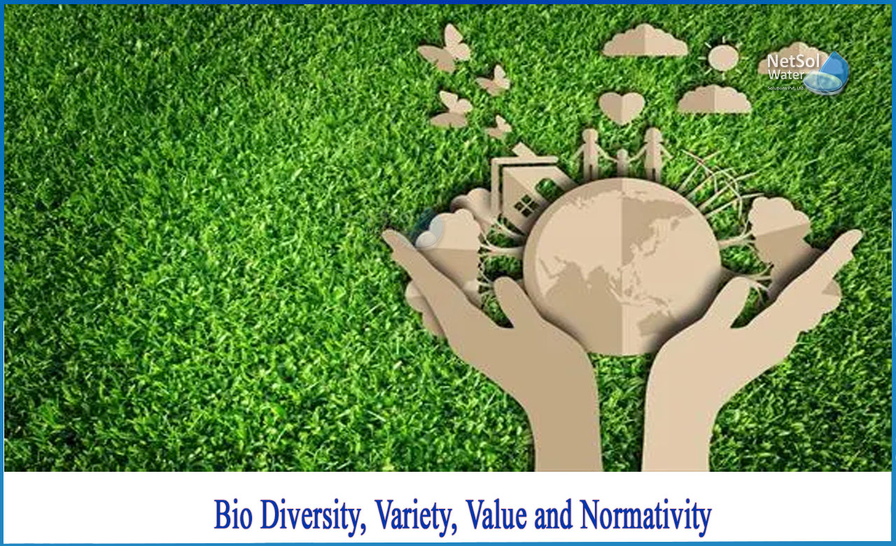 biodiversity, levels of biodiversity, why is biodiversity important