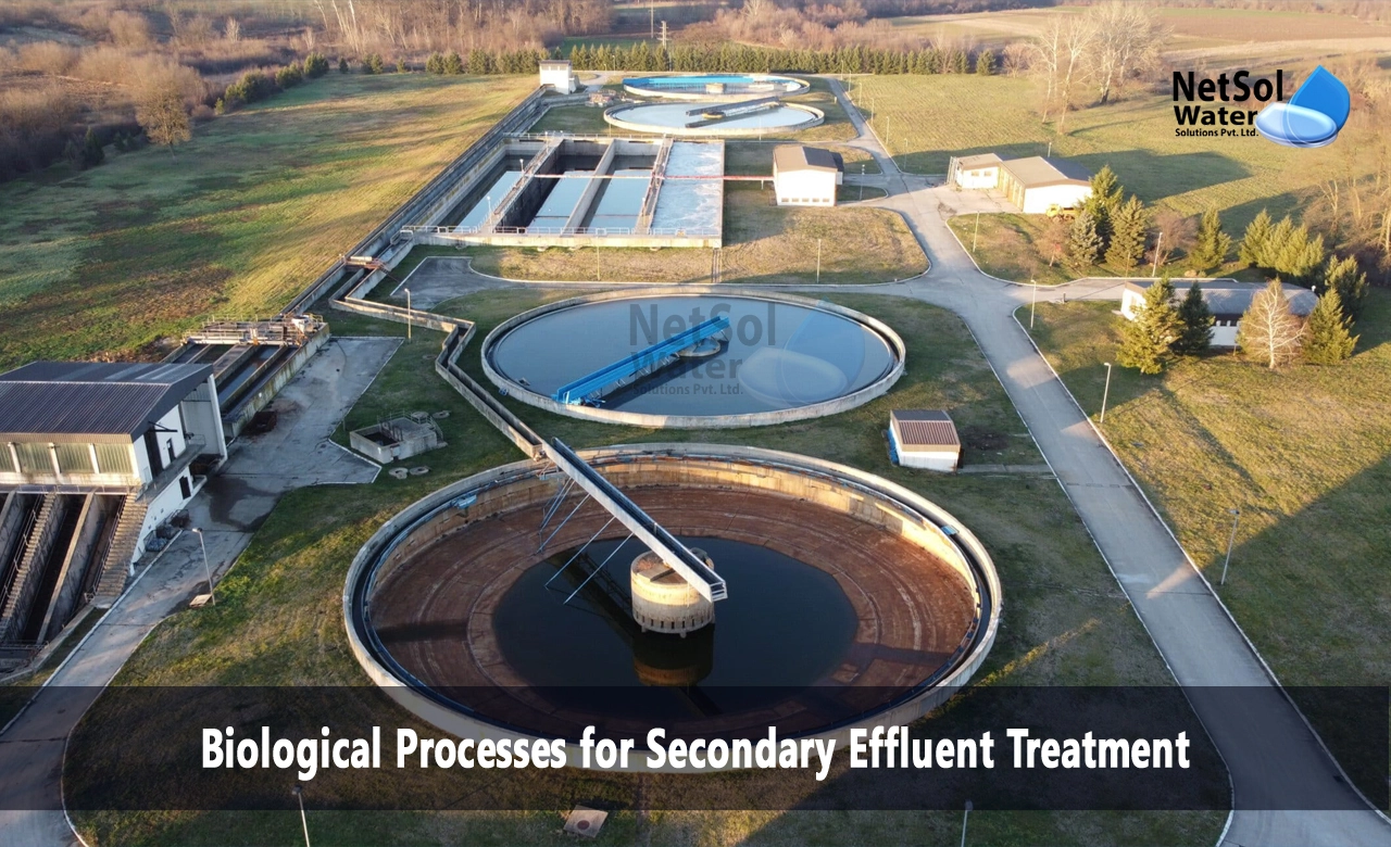 secondary treatment of wastewater, Biological processes for secondary effluent treatment