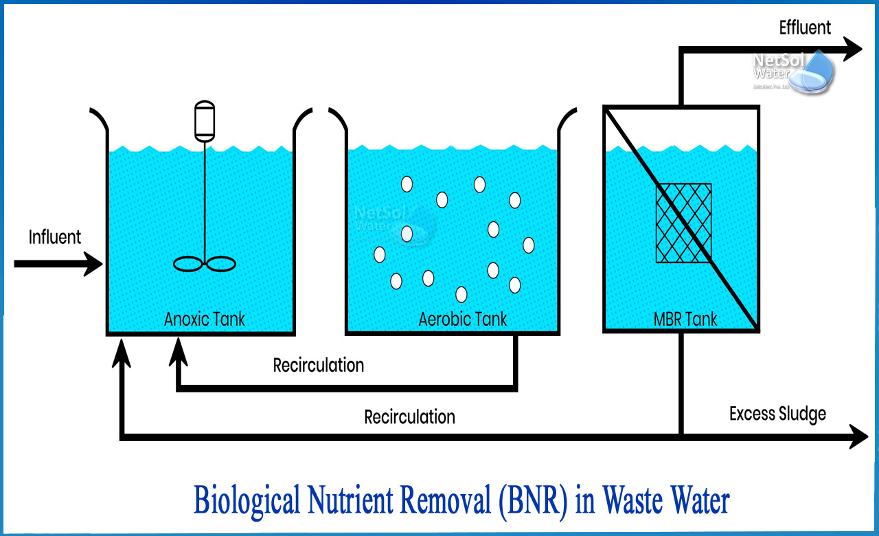 biological nutrient removal in wastewater treatment, biological nutrient removal in bardenpho process, biological nutrient removal journal