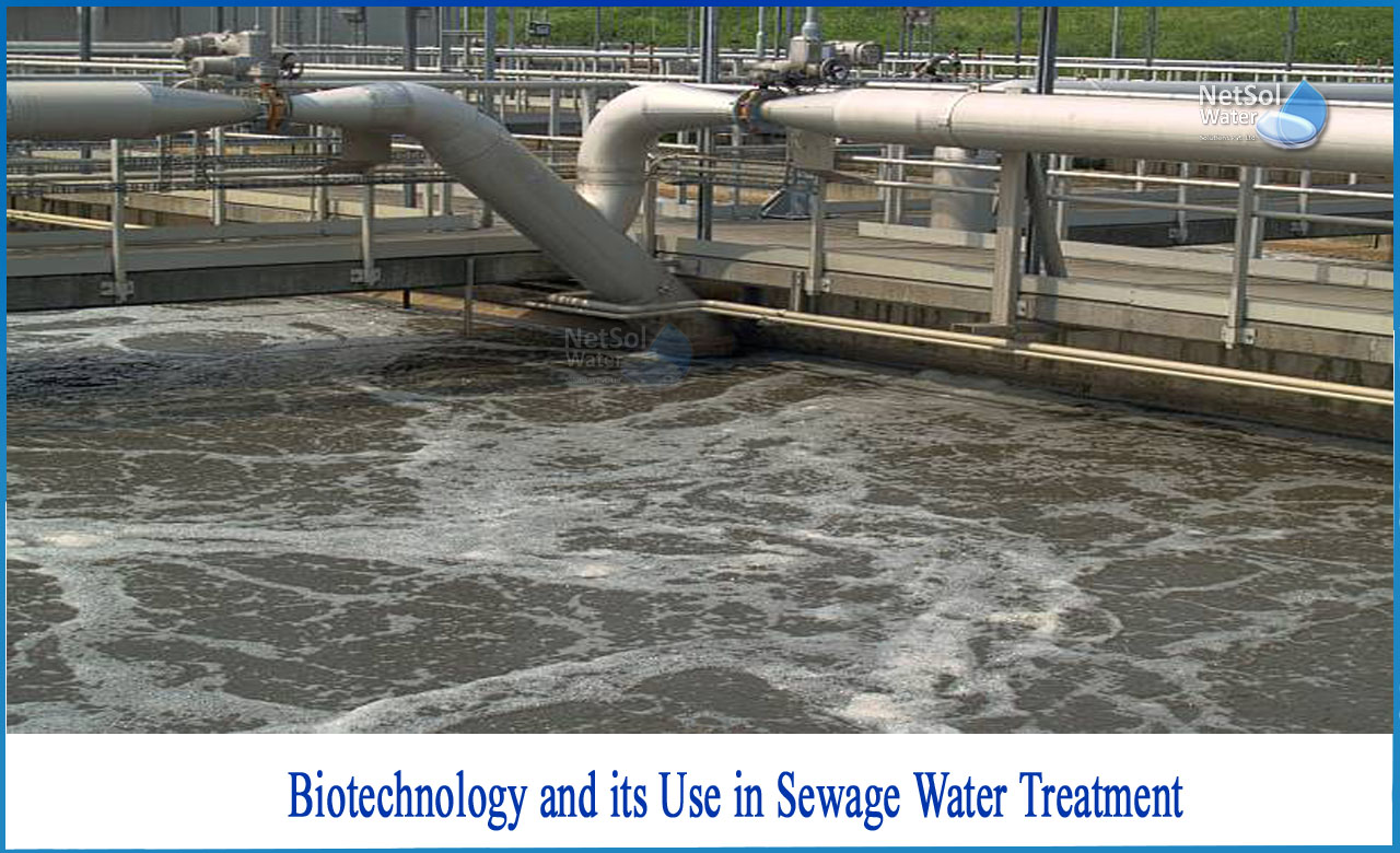 biotechnology for waste treatment, role of biotechnology in water pollution, application of biotechnology in food waste management