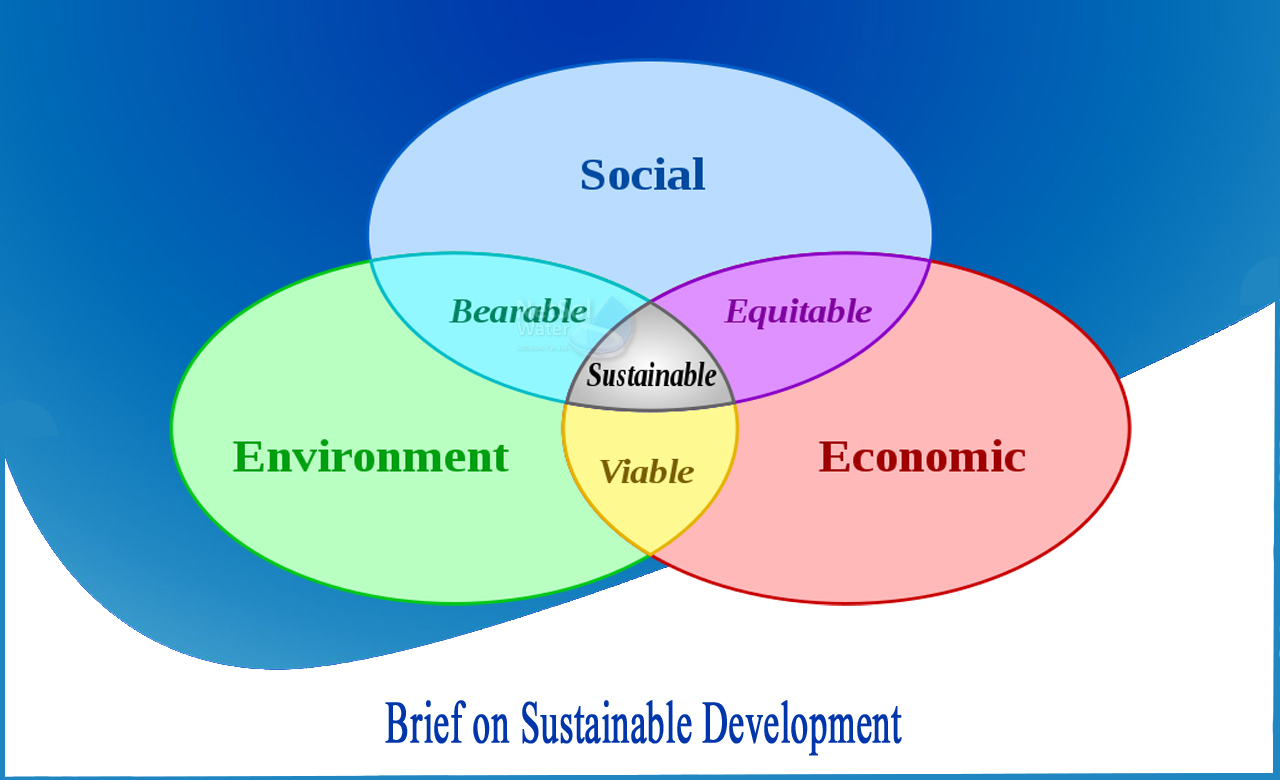 sustainable development, types of sustainable development, issue of sustainable development