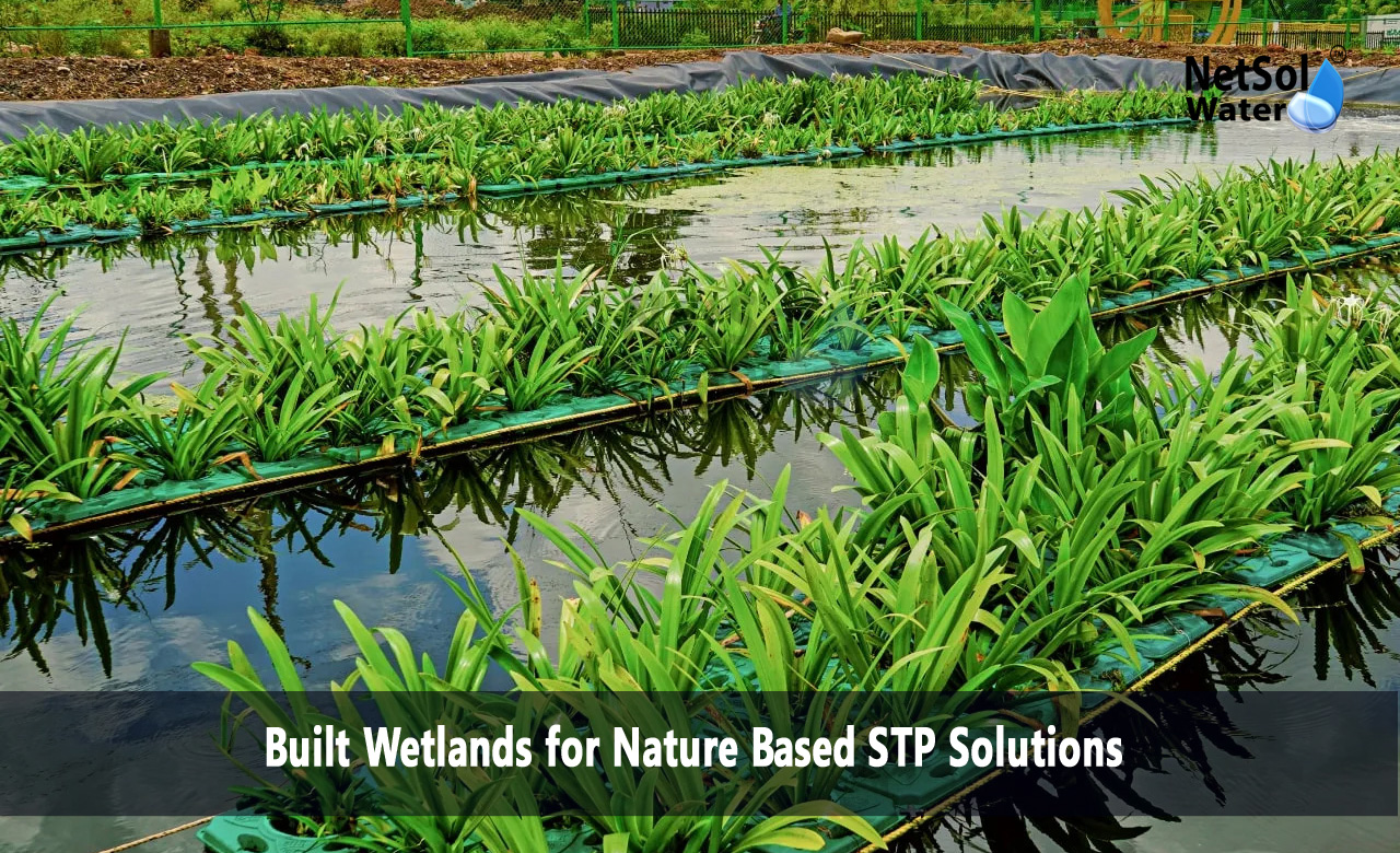 Sustainable Solution to Save Natural Water Bodies, Constructed Wetlands as Nature-Based Solutions, Guidelines for constructed wetland systems
