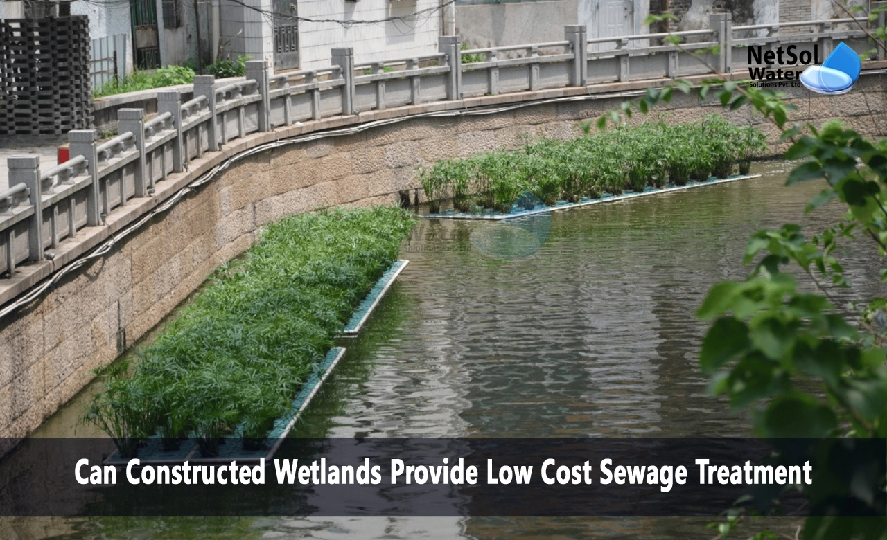 What are the limitations of constructed wetlands, How do constructed wetlands contribute to wastewater treatment