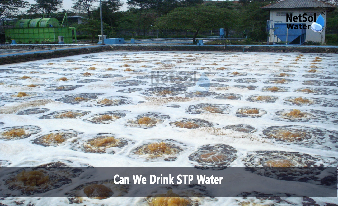Is STP water safe to drink, Can you drink water from a septic system, How clean is STP water