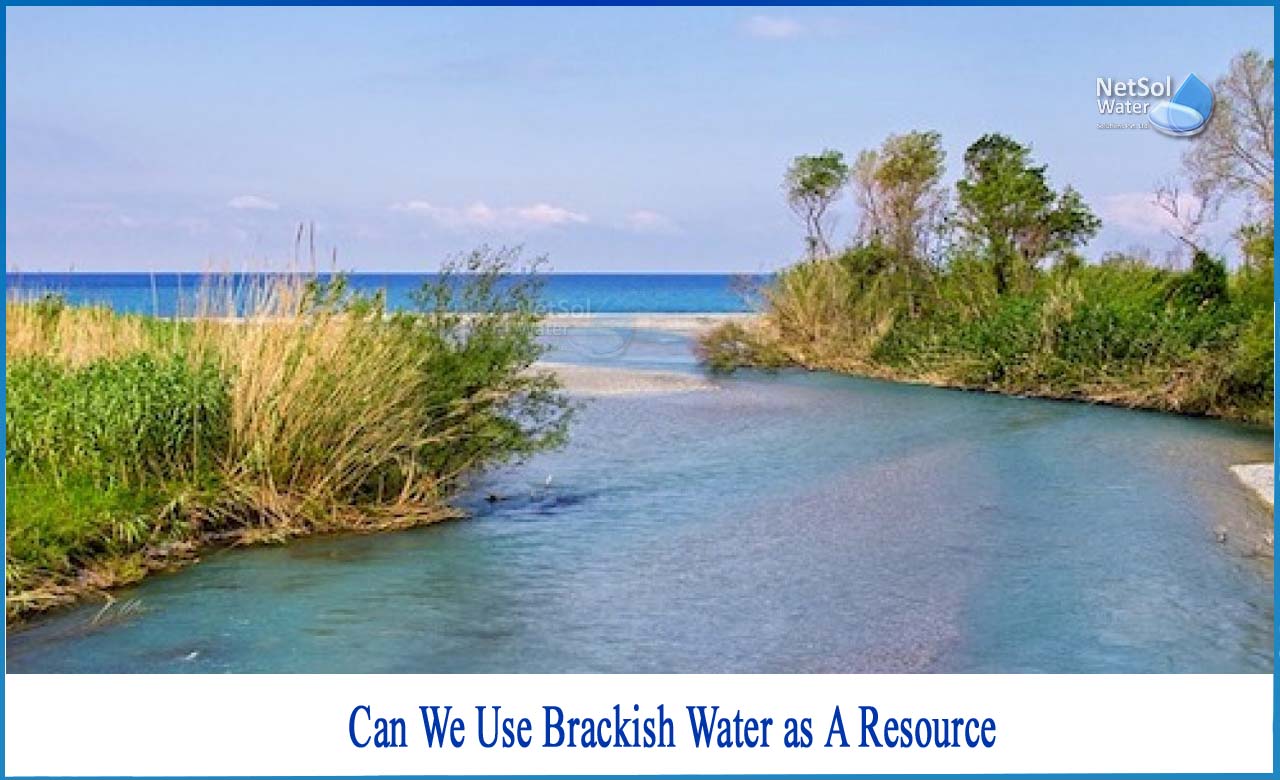 what is brackish, characteristics of brackish water, where is brackish water found