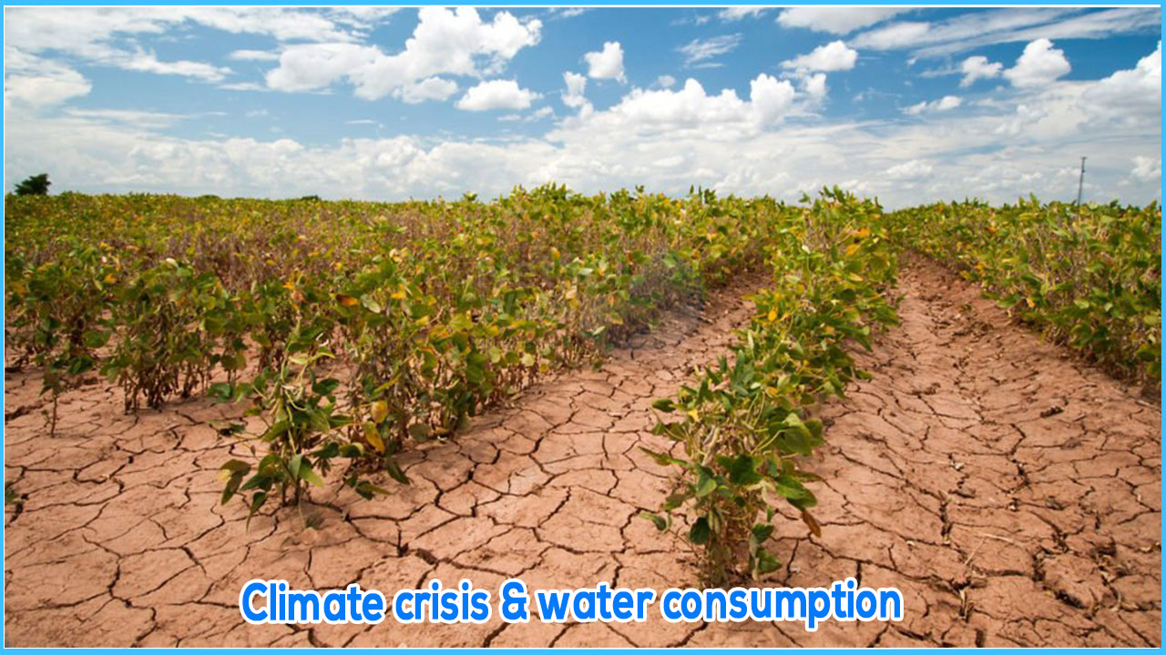 Climate crisis & water consumption