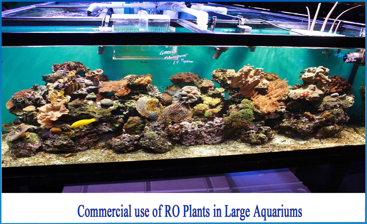 ro system for freshwater aquarium, cheap reverse osmosis filter for aquarium, using ro water in planted aquarium