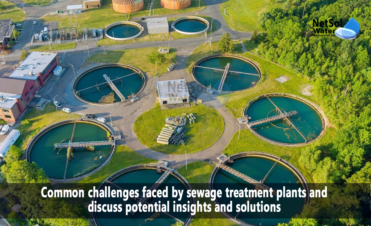 What are the Common challenges faced by sewage treatment plants