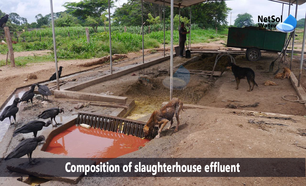 slaughterhouse wastewater treatment design, slaughterhouse wastewater characteristics, slaughterhouse waste management