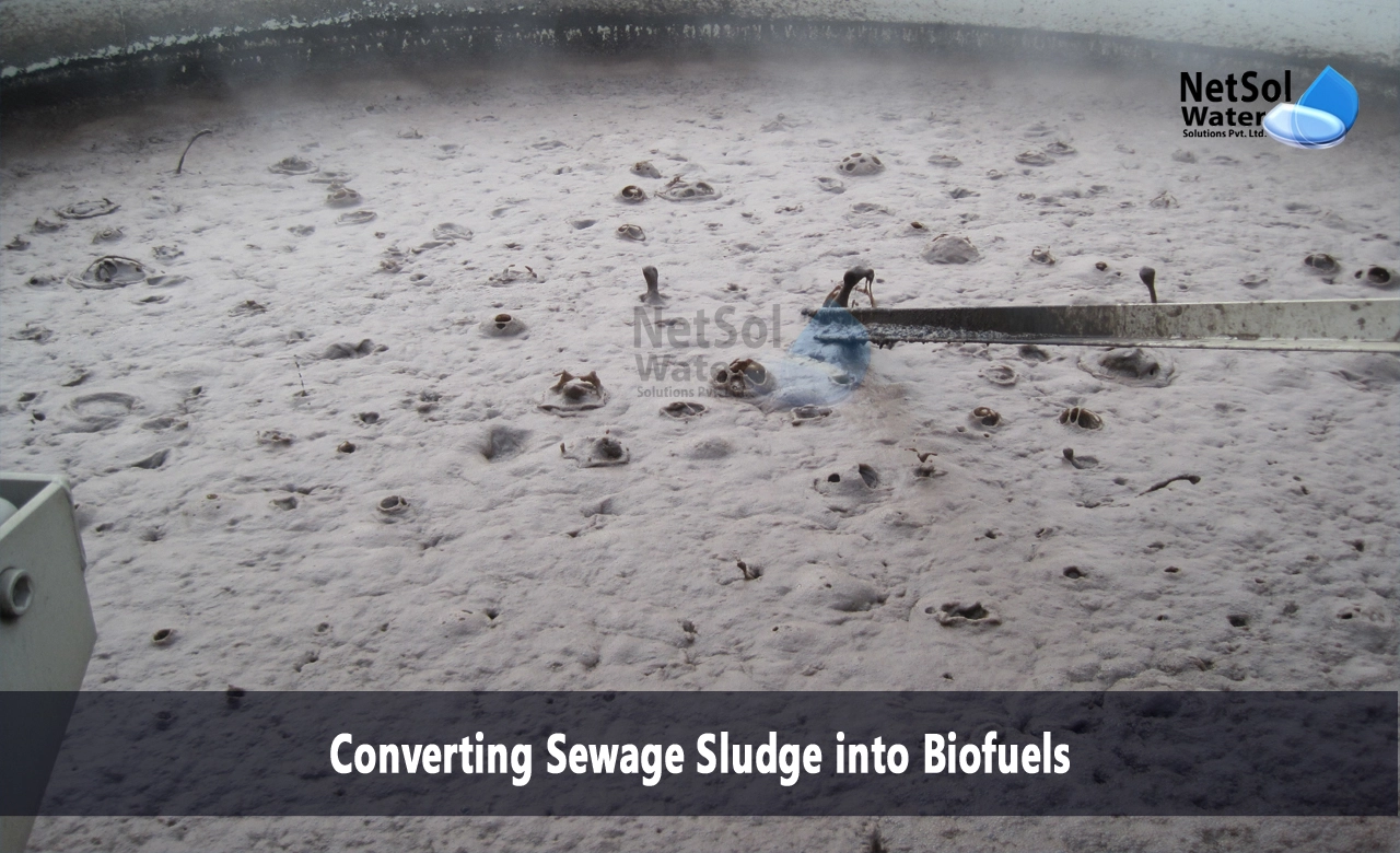 How does sewage become biofuel, How is sludge converted to biogas, Converting Sewage Sludge into Biofuels