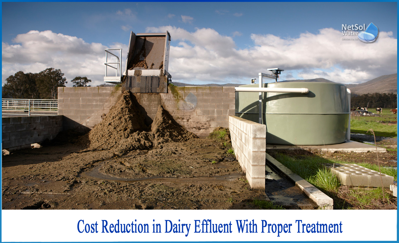 wastewater treatment in dairy industry, effluent treatment plant in dairy industry, dairy effluent treatment process