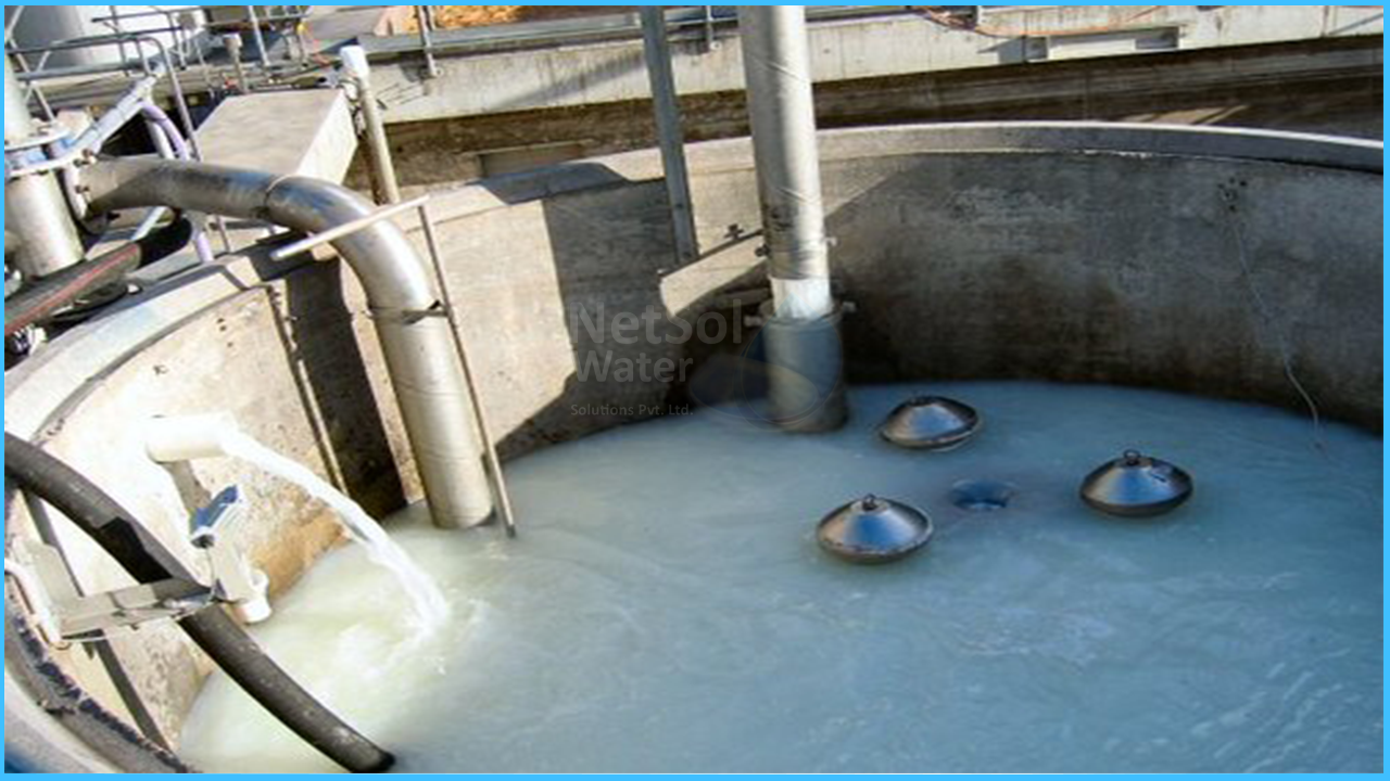 Dairy industry wastewater review, Which is waste of dairy industry