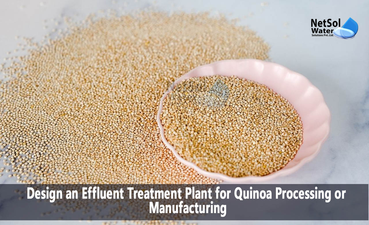 Working Functions of Effluent Treatment Plant, Designing an Effluent Treatment Plant for Quinoa Processing 