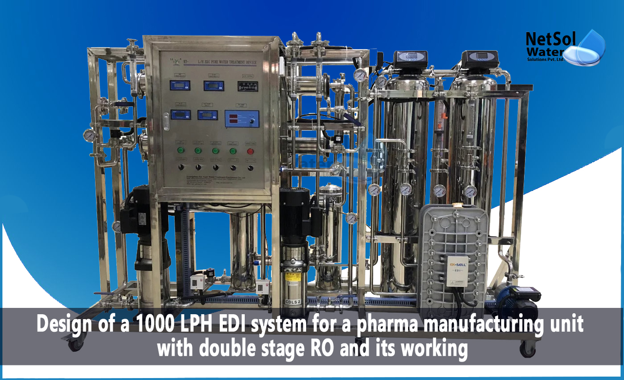 1000 LPH EDI system, Designing a 1000 LPH EDI system for a Pharma manufacturing unit