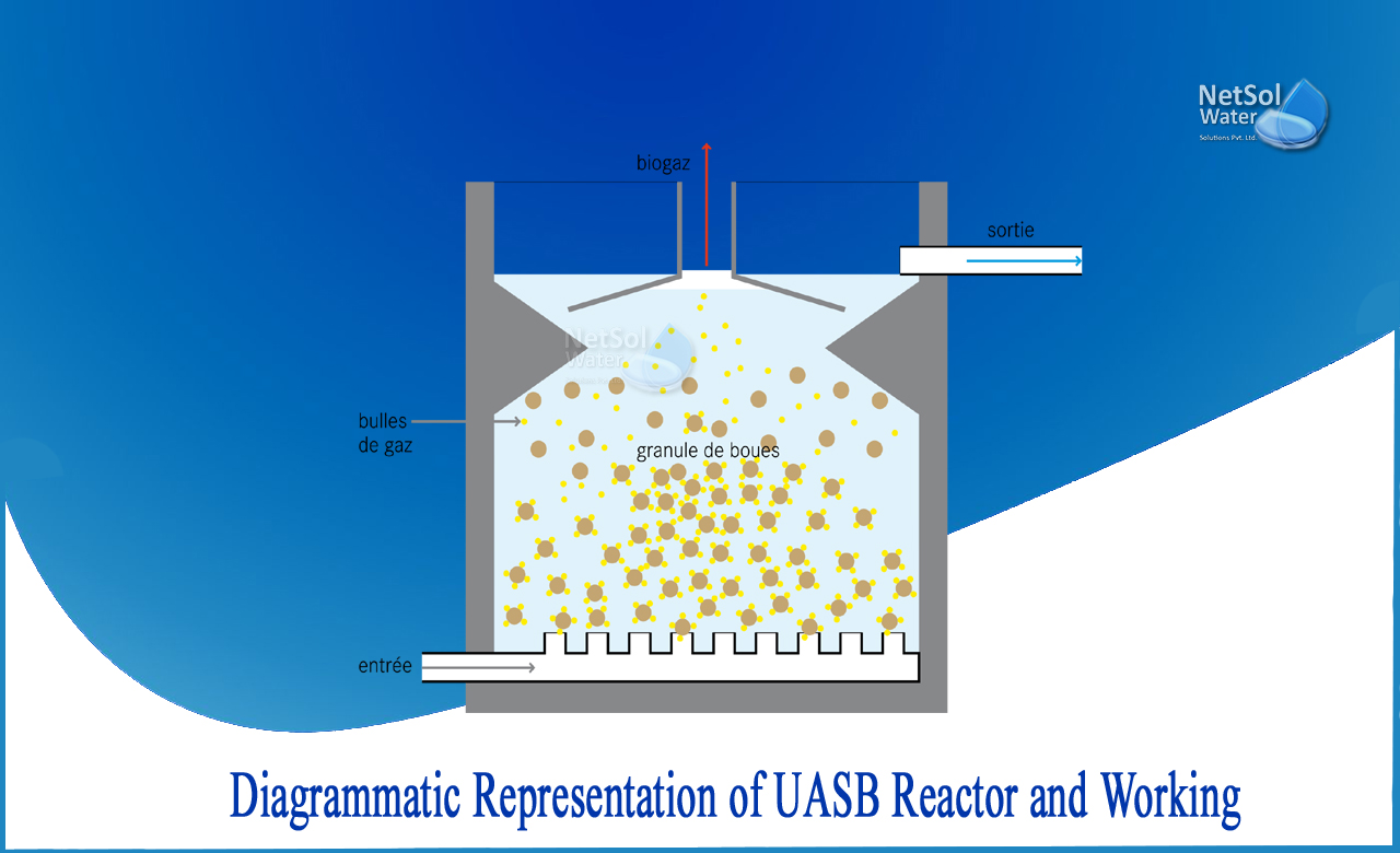 uasb reactor working principle, Diagrammatic representation of UASB reactor
