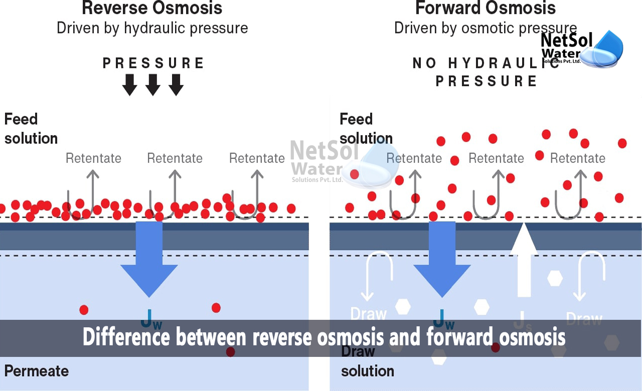 difference between osmosis and reverse osmosis, How does a RO Plant function, What is forward osmosis