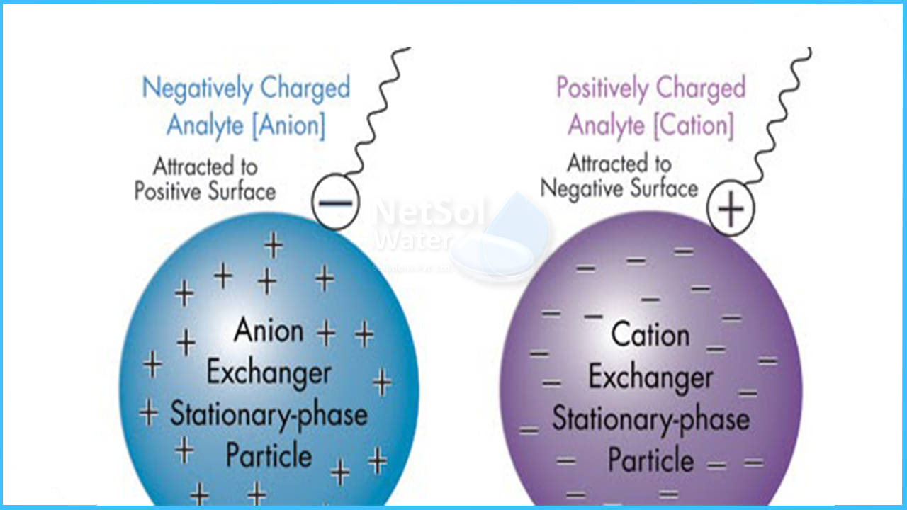 How many types of ion exchangers are there,  Which type of resins are used in ion-exchange chromatography,  What are ion exchange resins give example,