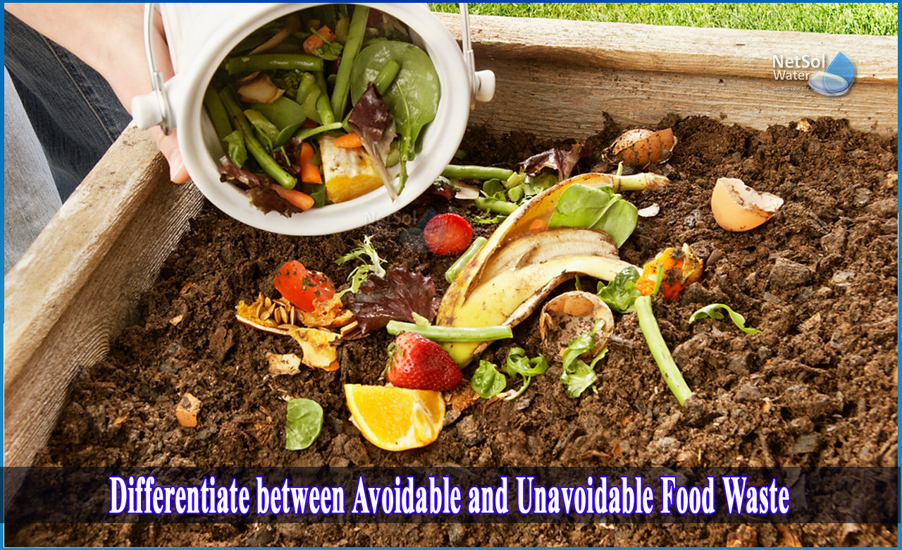 potentially avoidable food waste, unavoidable food waste definition, what is food waste, food waste