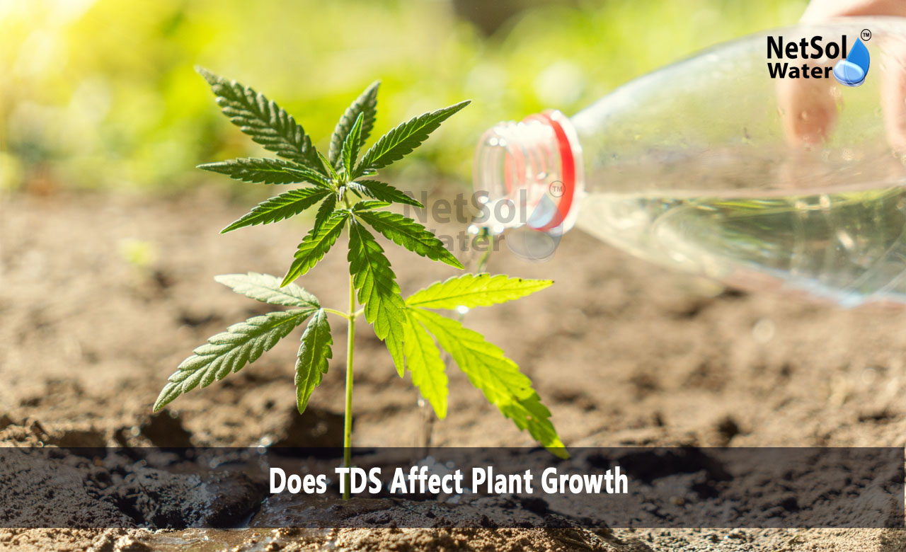 Is high TDS water good for plants, Which TDS water is good for agriculture, What is the TDS for plants