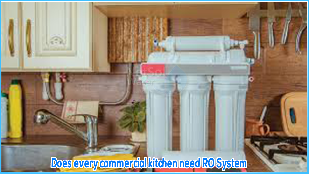 Does every commercial kitchen need RO System, ro plant for indian kitchen