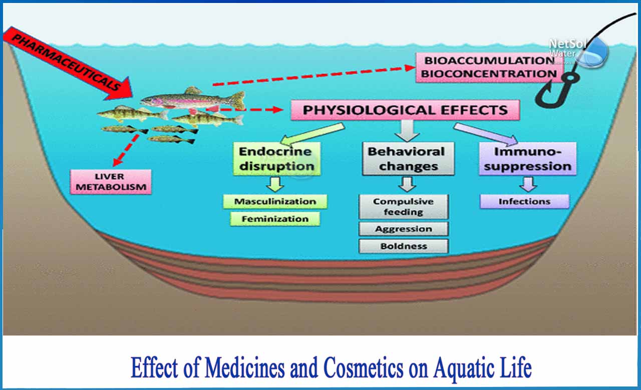 effects of pharmaceuticals on aquatic organisms, pharmaceuticals in water effects on fish, 