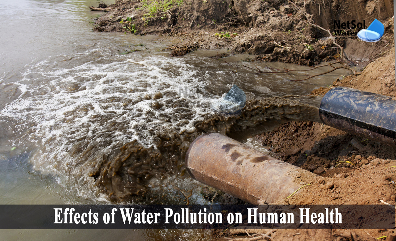effect of water pollution on human health, effects of water pollution on environment, 5 effects of water pollution