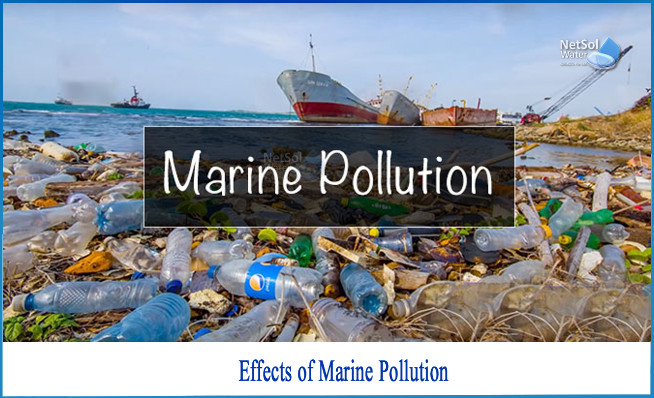 effects of marine pollution, causes and effects of marine pollution, types of marine pollution