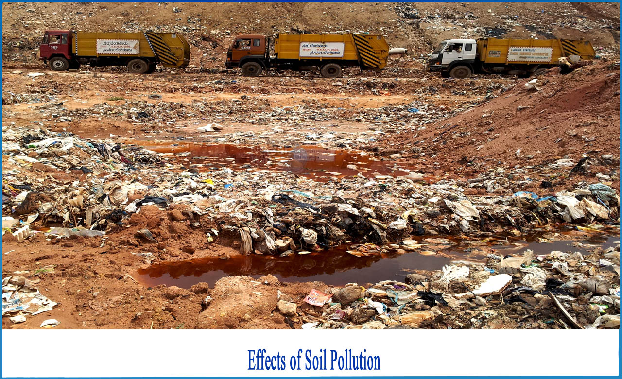 effects of soil pollution on environment, causes and effects of soil pollution, what are the long term effects of soil pollution