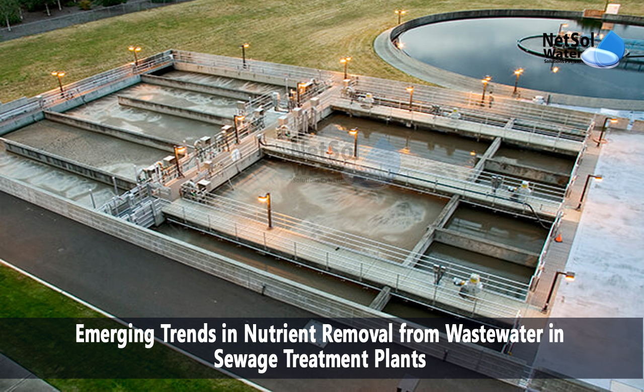 The Importance of Nutrient Removal in Sewage Treatment