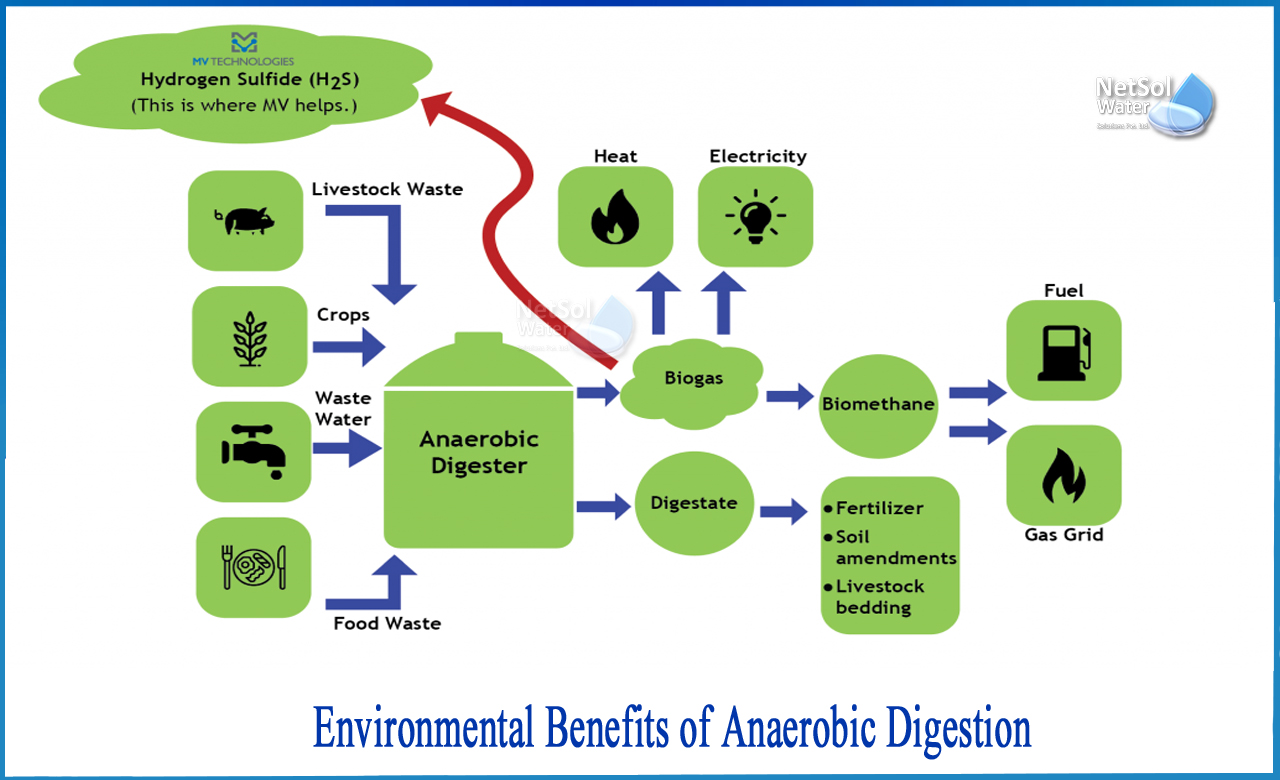 economic benefits of anaerobic digestion, anaerobic digestion methane production, advantages and disadvantages of anaerobic digestion