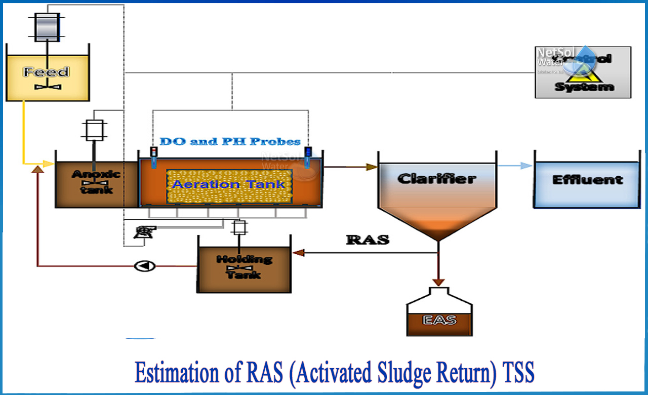 Activated Sludge