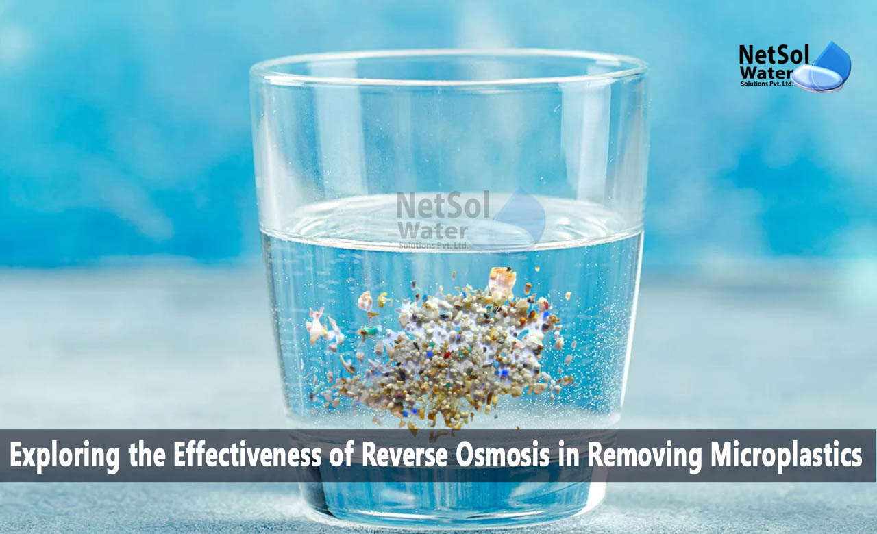 Effectiveness of Reverse Osmosis in Removing Microplastics