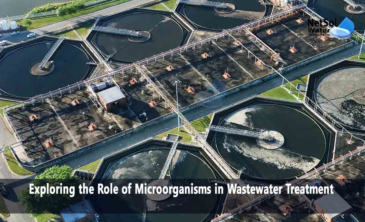 What is the role of Microorganisms in Wastewater Treatment